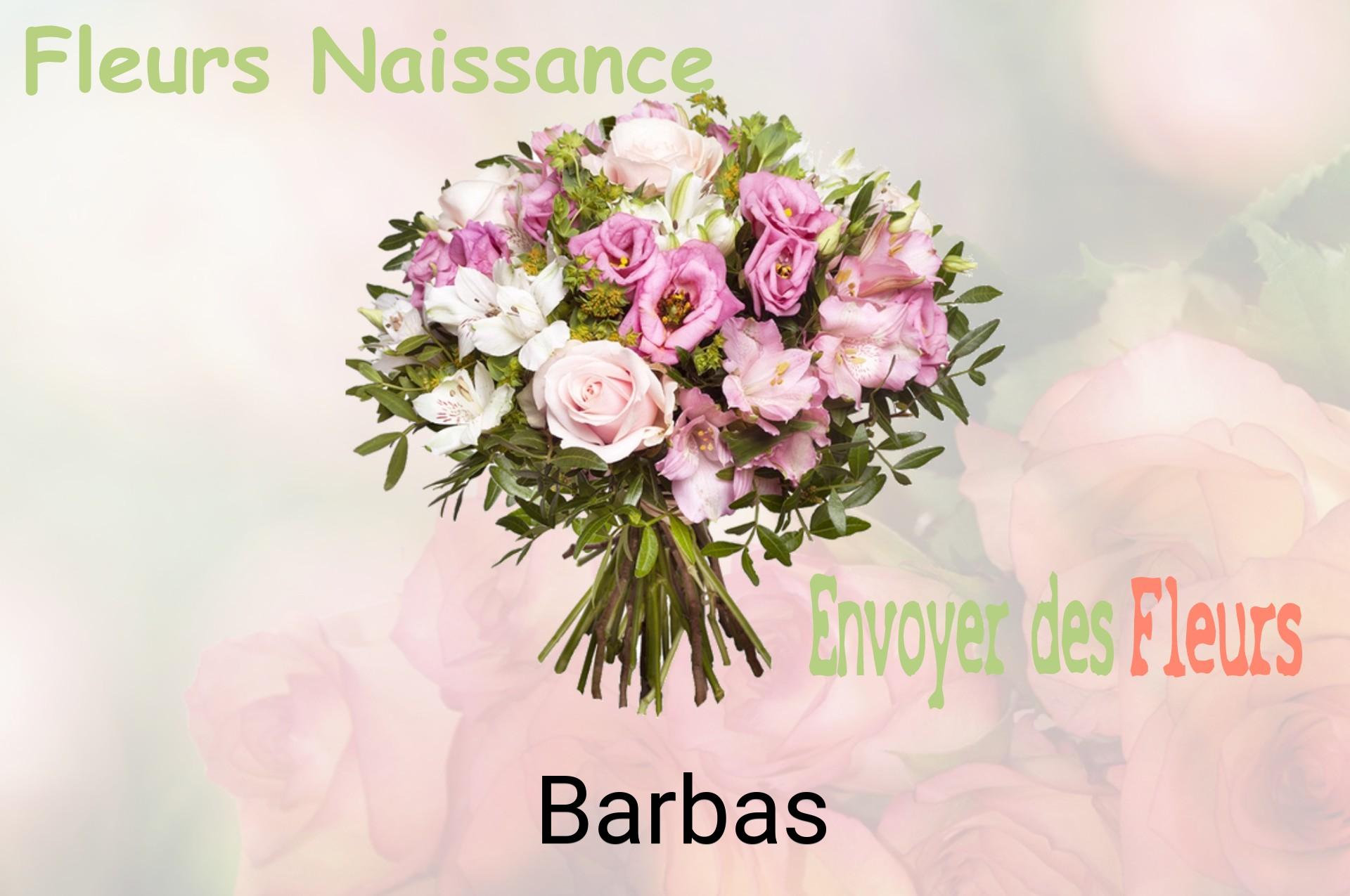 Bouquet de fleurs de naissance livré à Barbas